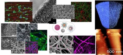 Bioactive Glass: A Revolutionary Material for Regenerative Medicine and Drug Delivery!